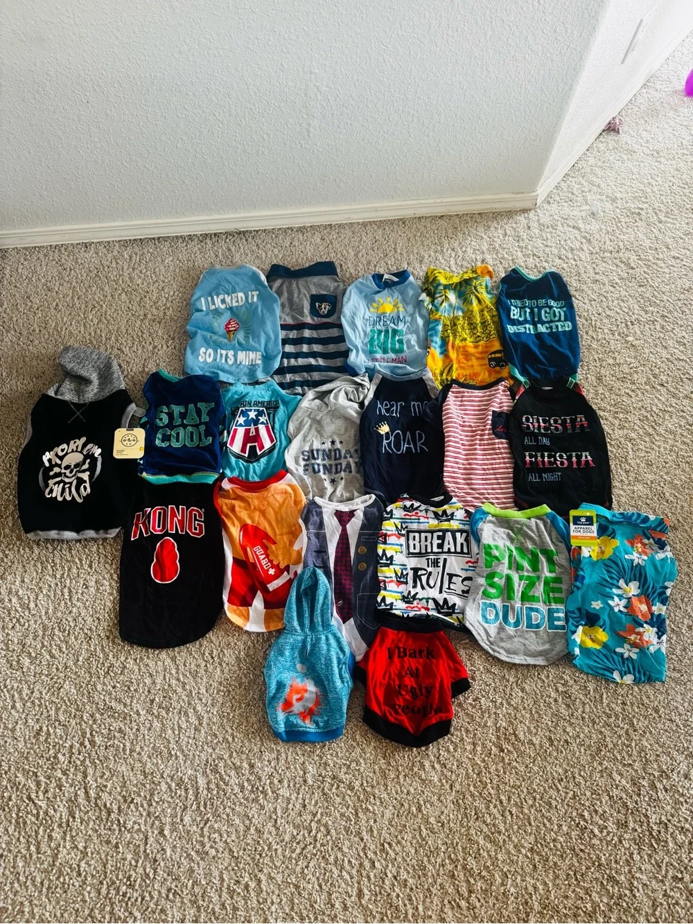 Mixed Graphic Tee & Tank Lot - Multicolor Bundle
